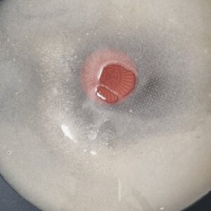 Paso: Herbir el azucar y que cristalice. Manjar de Leche Vegano. Aprende a preparar este delicioso dulce de leche 100% vegano en nuestra receta de hoy.