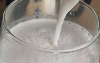 BEBIDA VEGETAL DE COCO / LECHE DE COCO: Receta