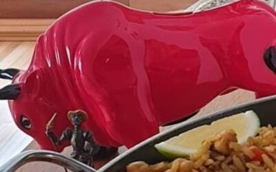 VEGANISMO VS TAUROMAQUIA