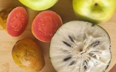 5 Consejos Post-Operatorios Veganos