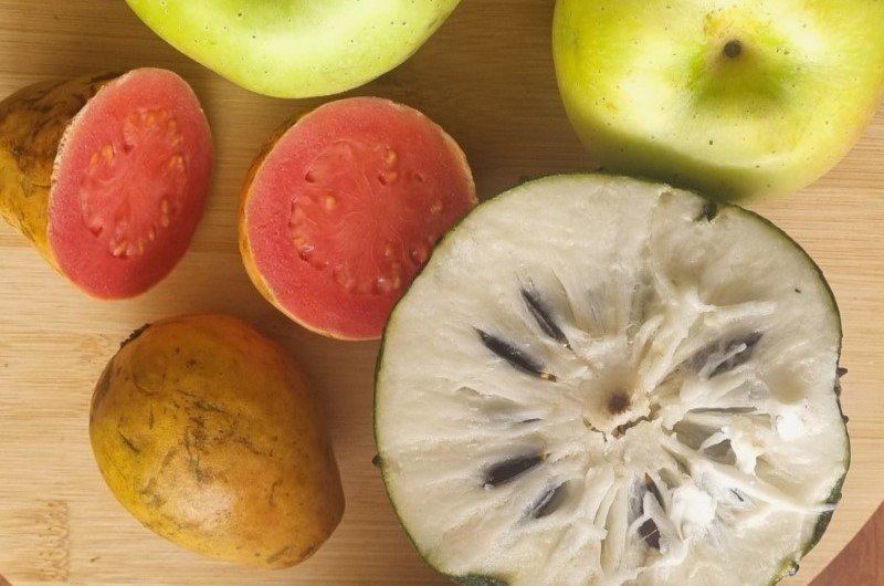 5 Consejos Post-Operatorios Veganos