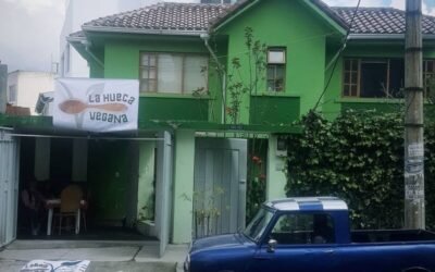 5 AÑOS MARCANDO TENDENCIA: LA HUECA VEGANA, UNA MARCA CON PROPOSITO