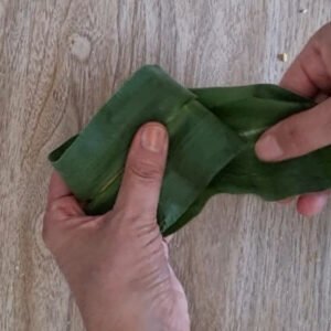 Paso 5 de receta de Chiguiles Veganos: Erika envolviendo el Chiguil.